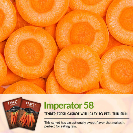 Imperator 58 carrots have a thin skin