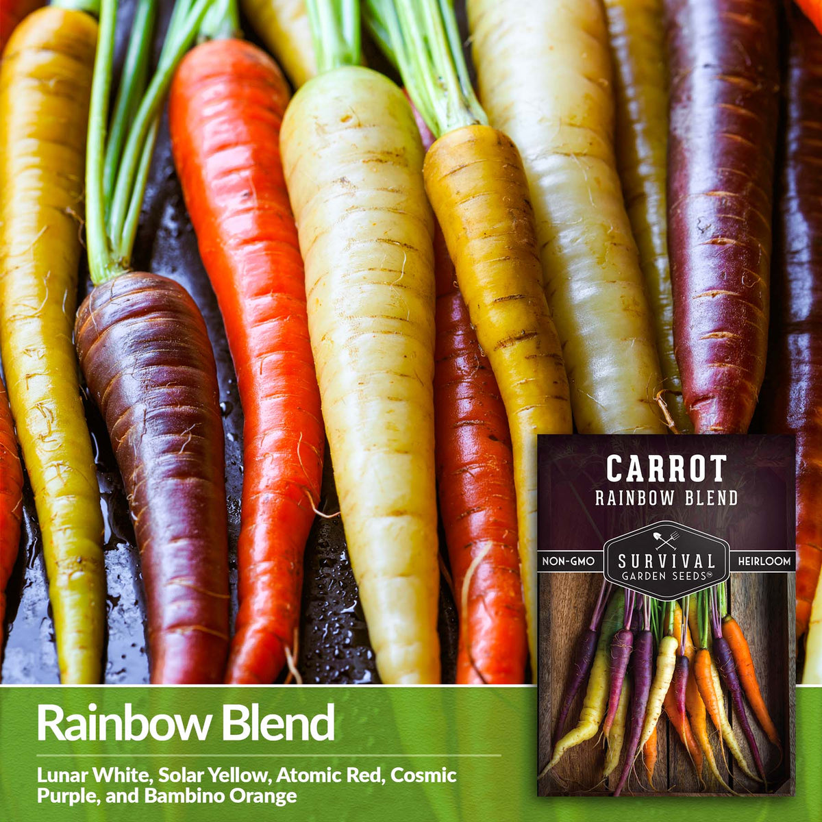 5 Different Carrot Varieties in 1 seed pack