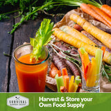 Harvest and store carrots