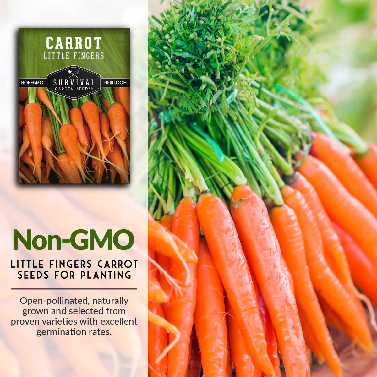 Non-GMO little fingers carrot seeds for planting
