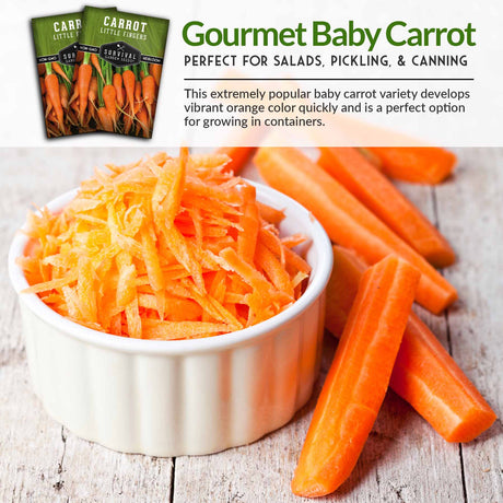 Gourmet Baby Carrot perfect for salads, pickling & canning