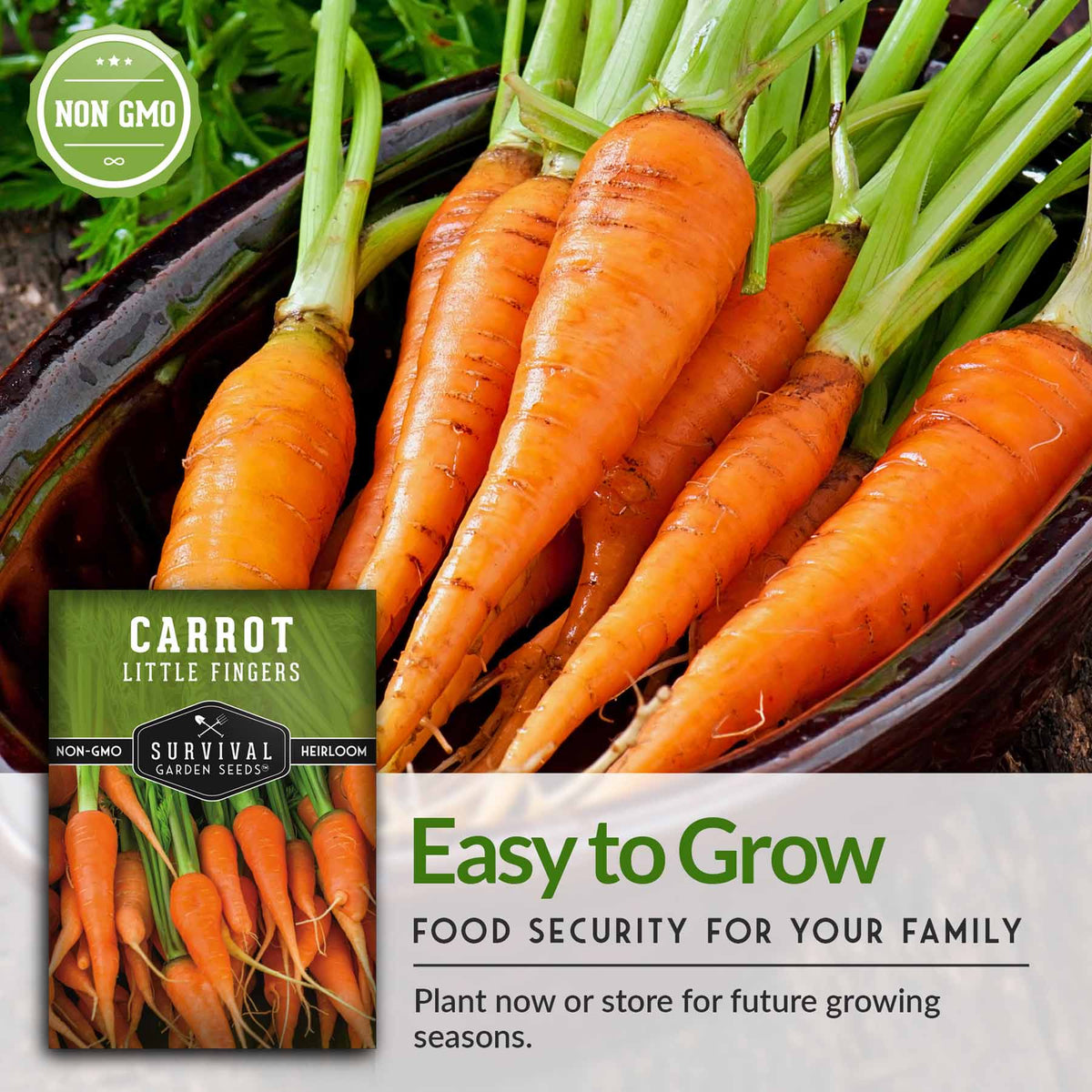 Easy to grow food security for your family