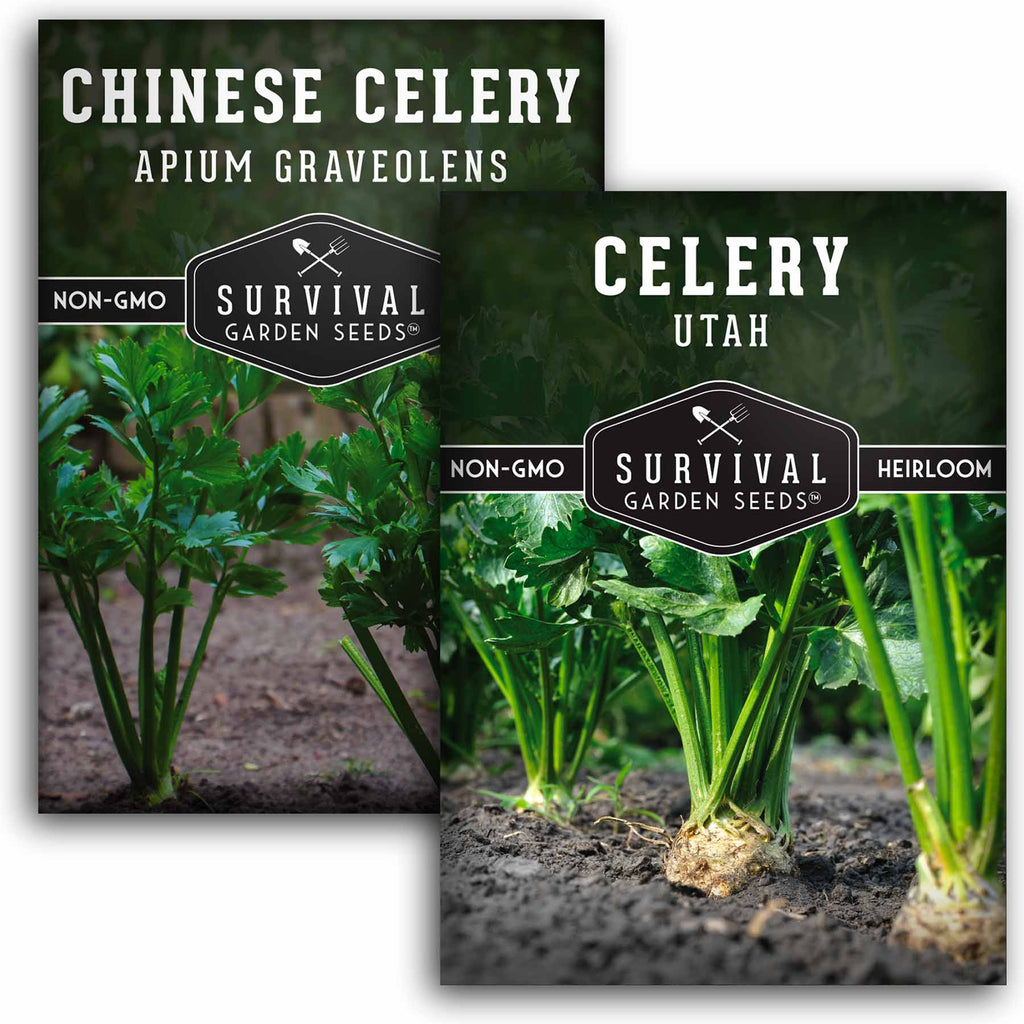 Celery Collection - Grow Utah & Chinese Celery