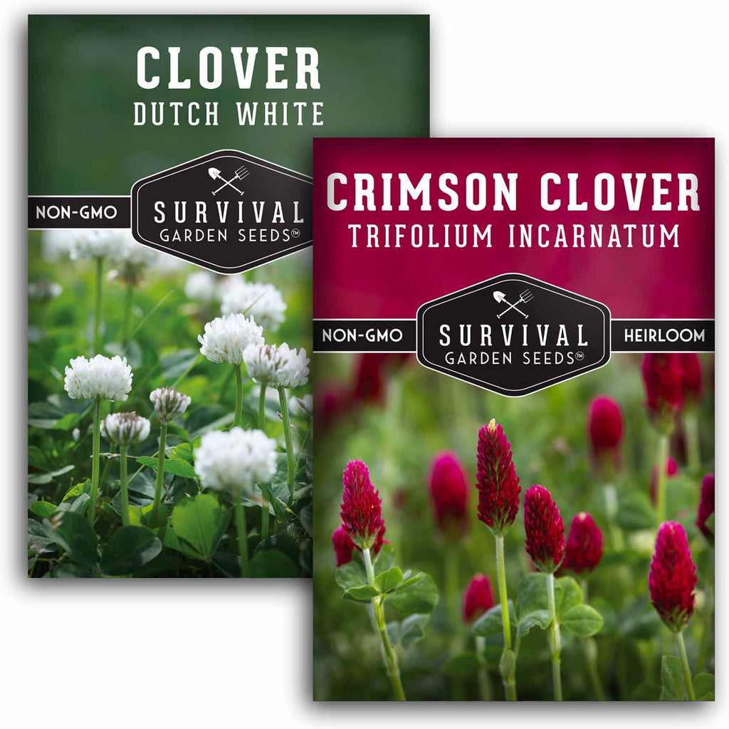 Clover Seed Collection - Crimson & Dutch Clover