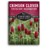 1 Packet of Crimson Clover seeds