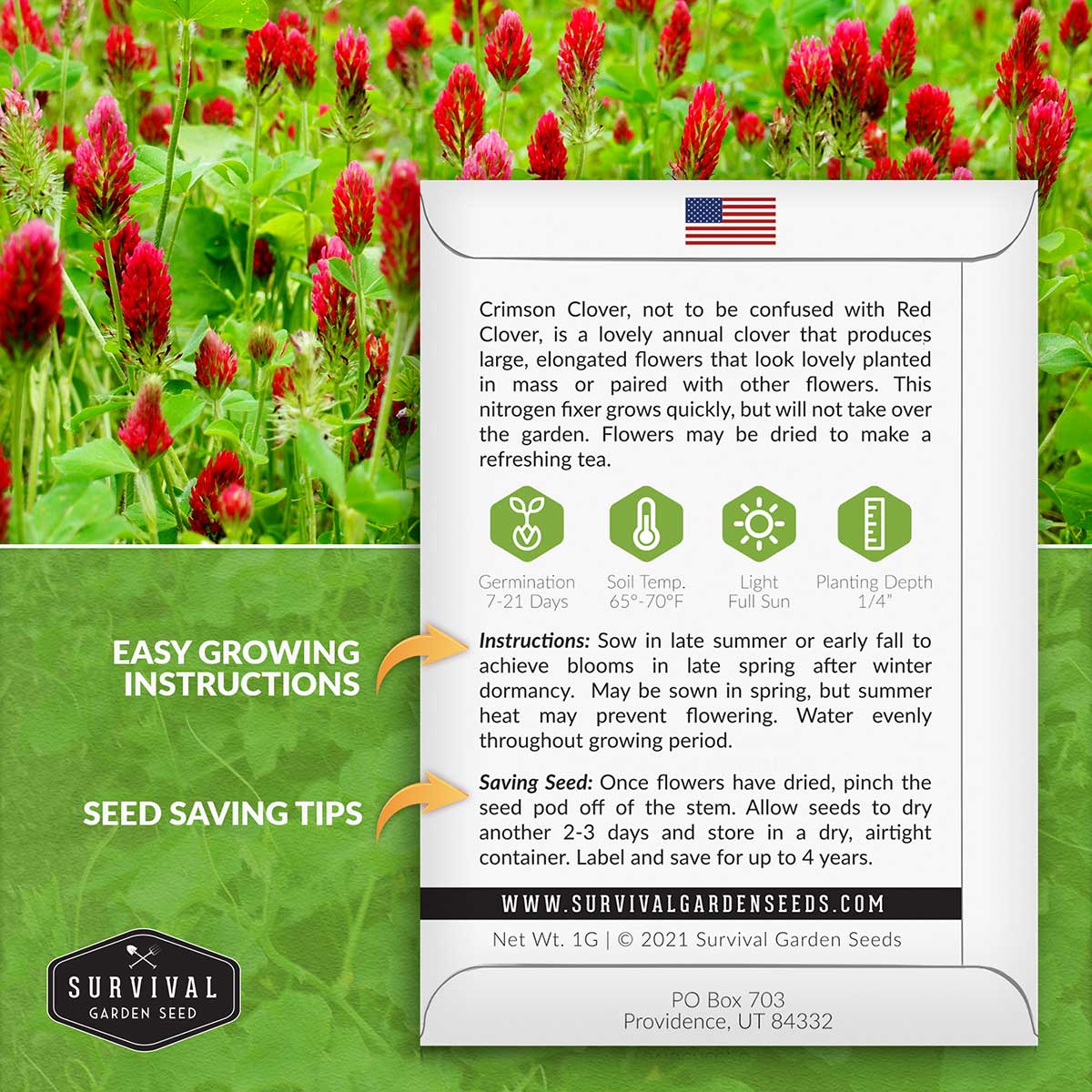 Crimson Clover Seed