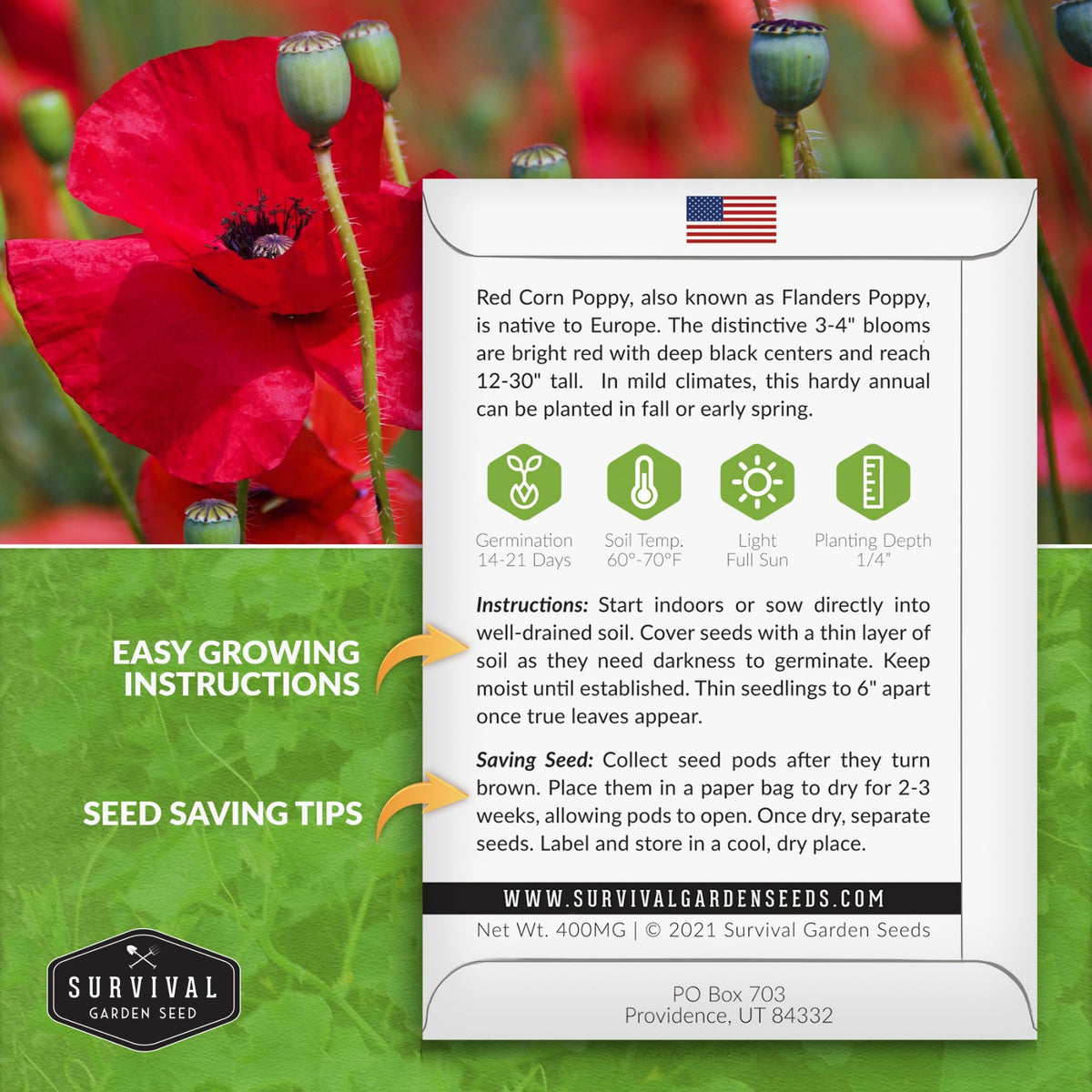 Red Corn Poppy seeds planting instructions