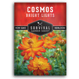 Bright Lights Cosmos seeds for planting