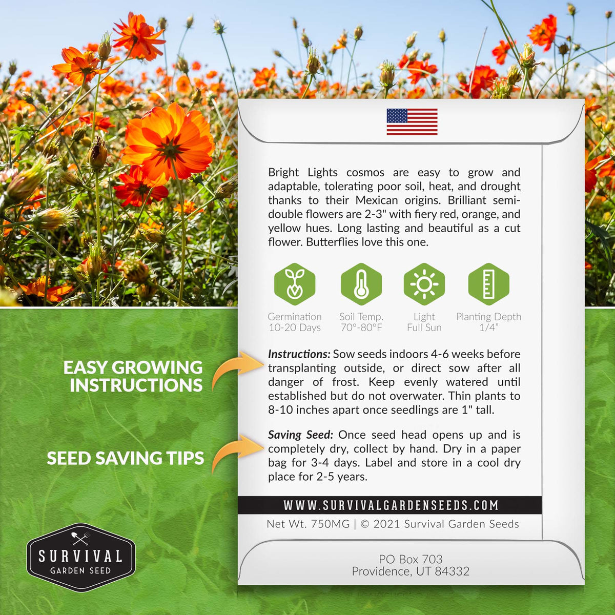 Bright Lights Cosmos seed planting instructions