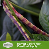 Harvest and store your own food supply