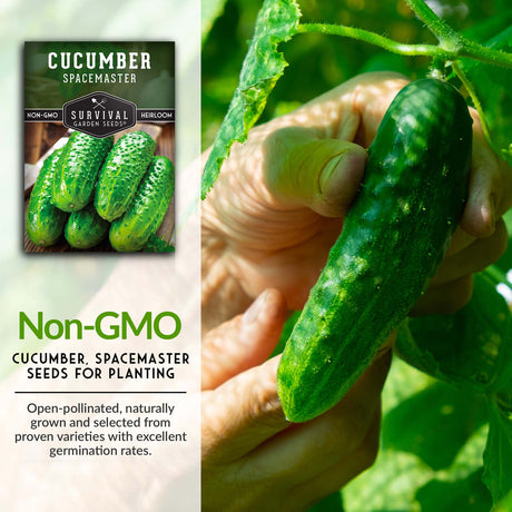 Heirloom spacemaster cucumber seeds