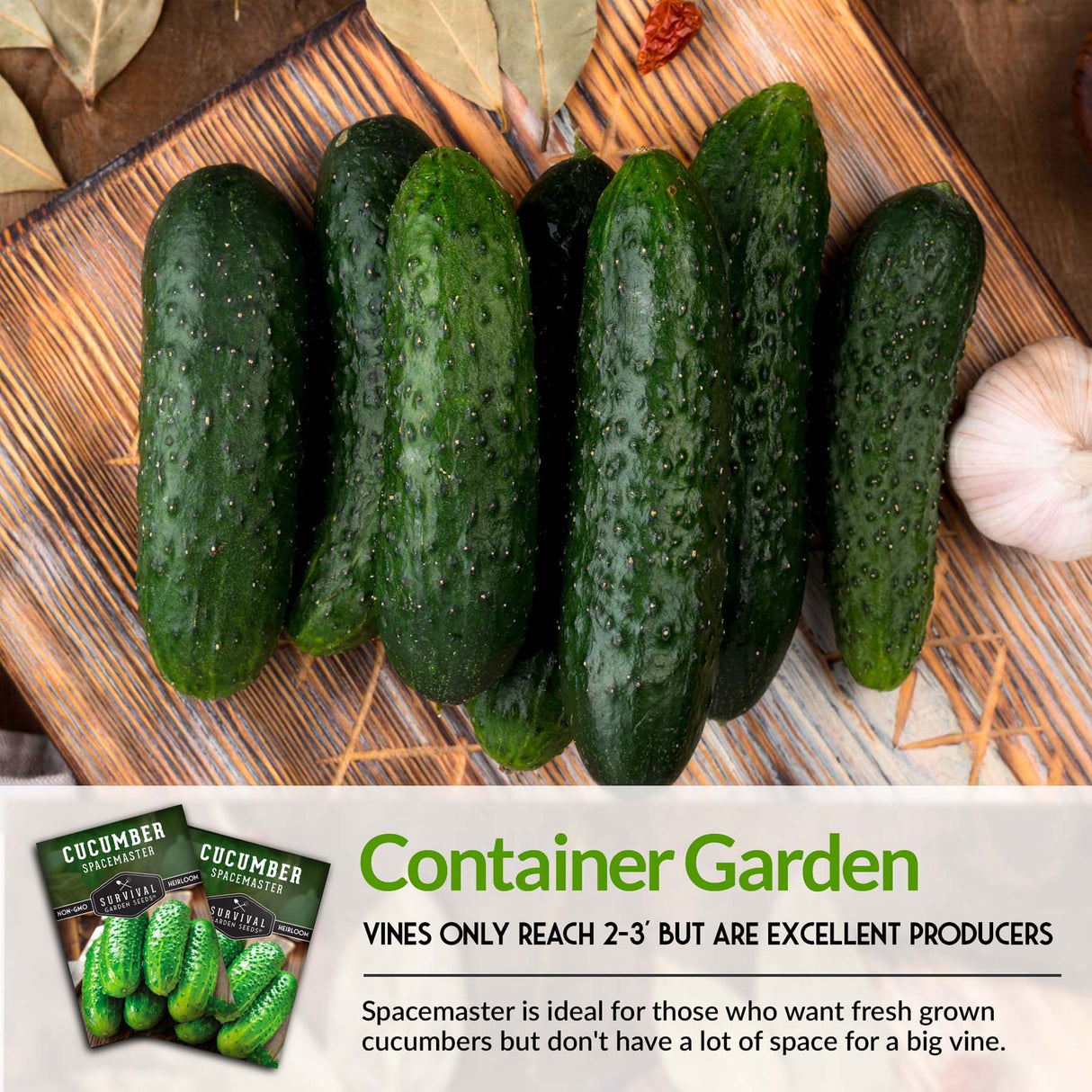 Cucumber for container gardens