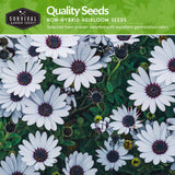 Quality non-hybrid heirloom flower seeds