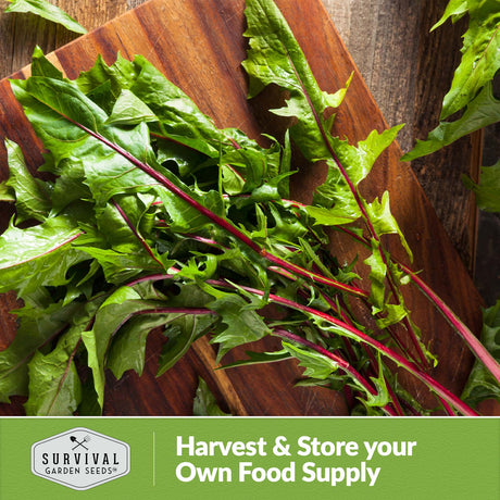 Harvest and store your own food supply