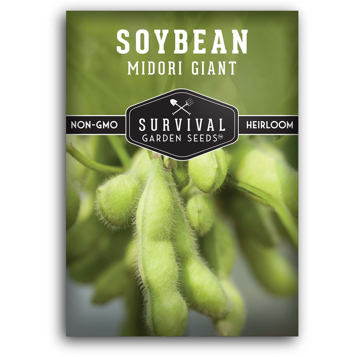 Midori Giant Soybean seeds for planting