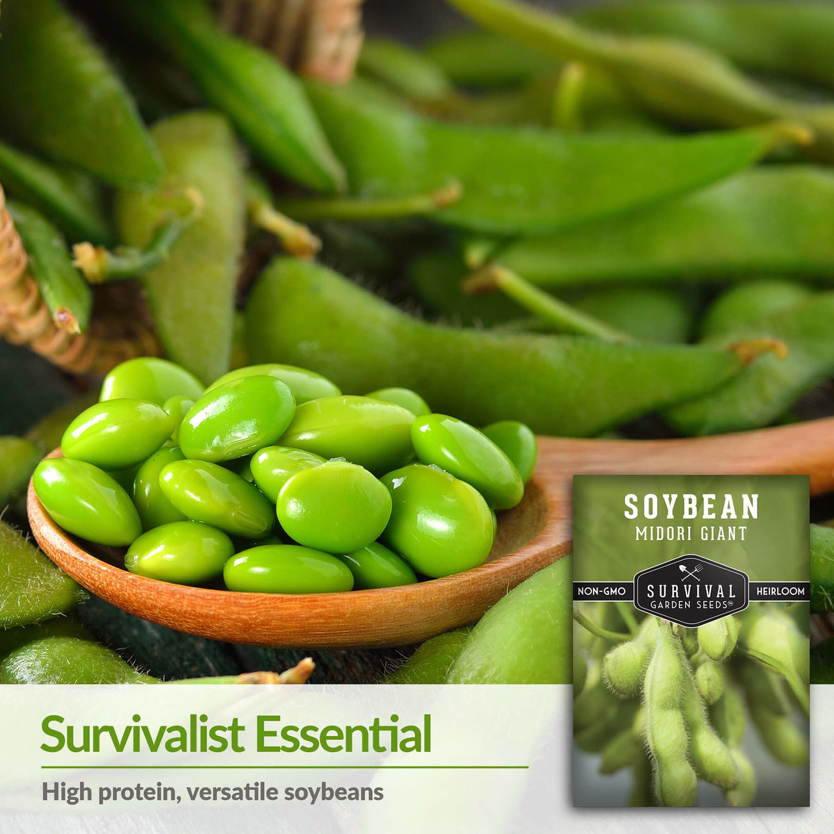 Survivalist essential high protein, versatile soybeans