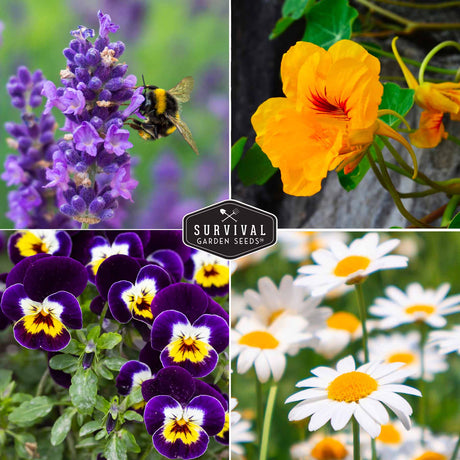 edible flowers seed collection