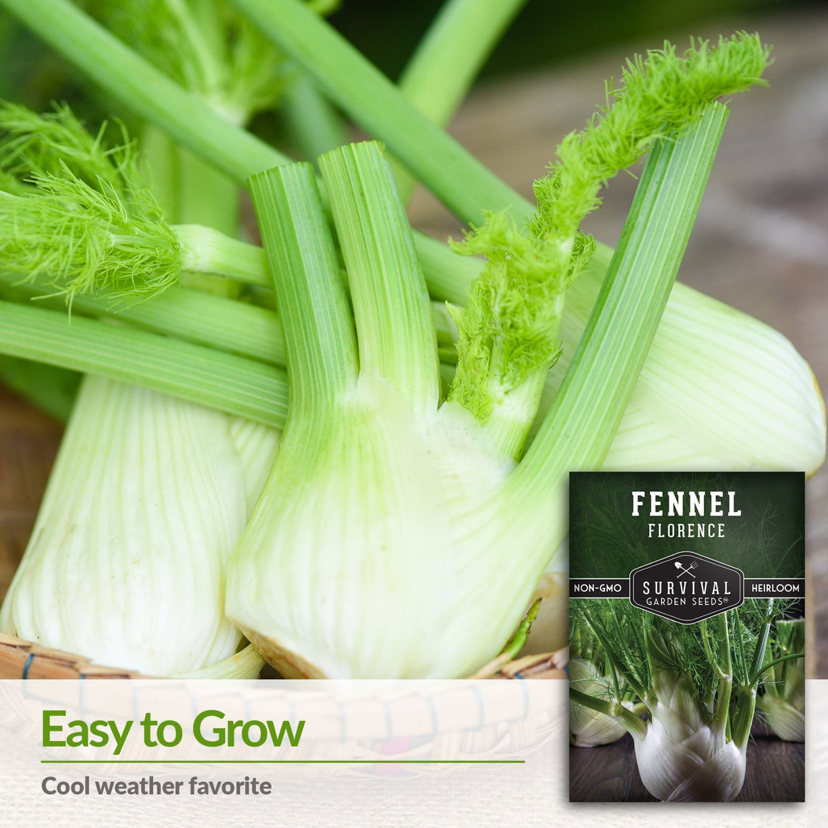 Fennel is an easy to grow cool weather favorite