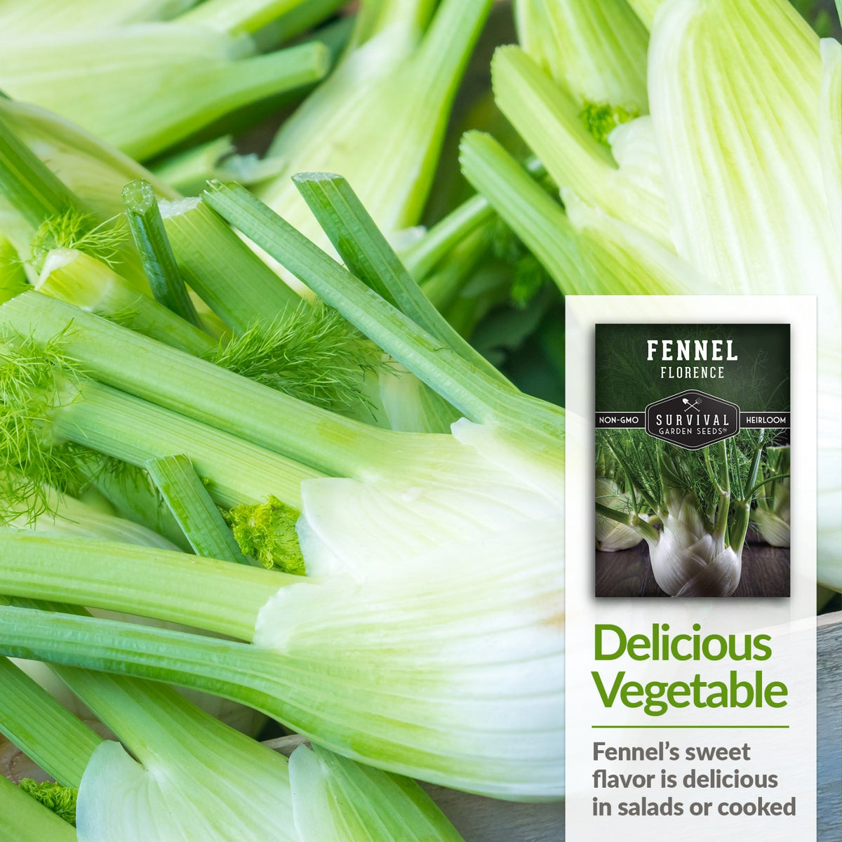 Fennel&#39;s sweet flavor is delicious in salads or cooked