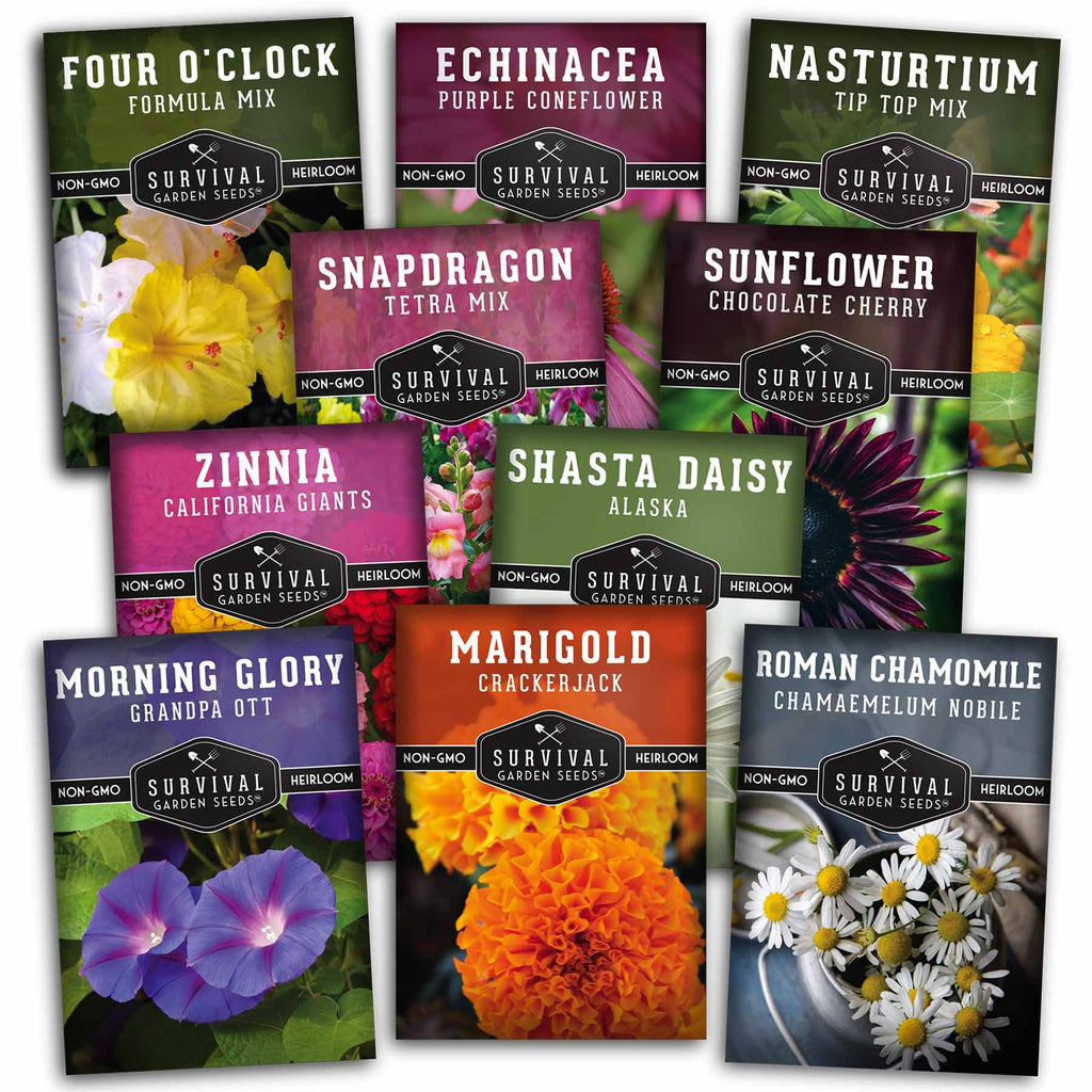 10 Flower Collection - Four O'Clock, Chamomile, Shasta Daisy, Echinacea (Coneflower), Marigold, Morning Glory, Nasturtium, Snap Dragon, Sunflower, Zinnia