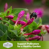 Support pollinators for a healthy garden