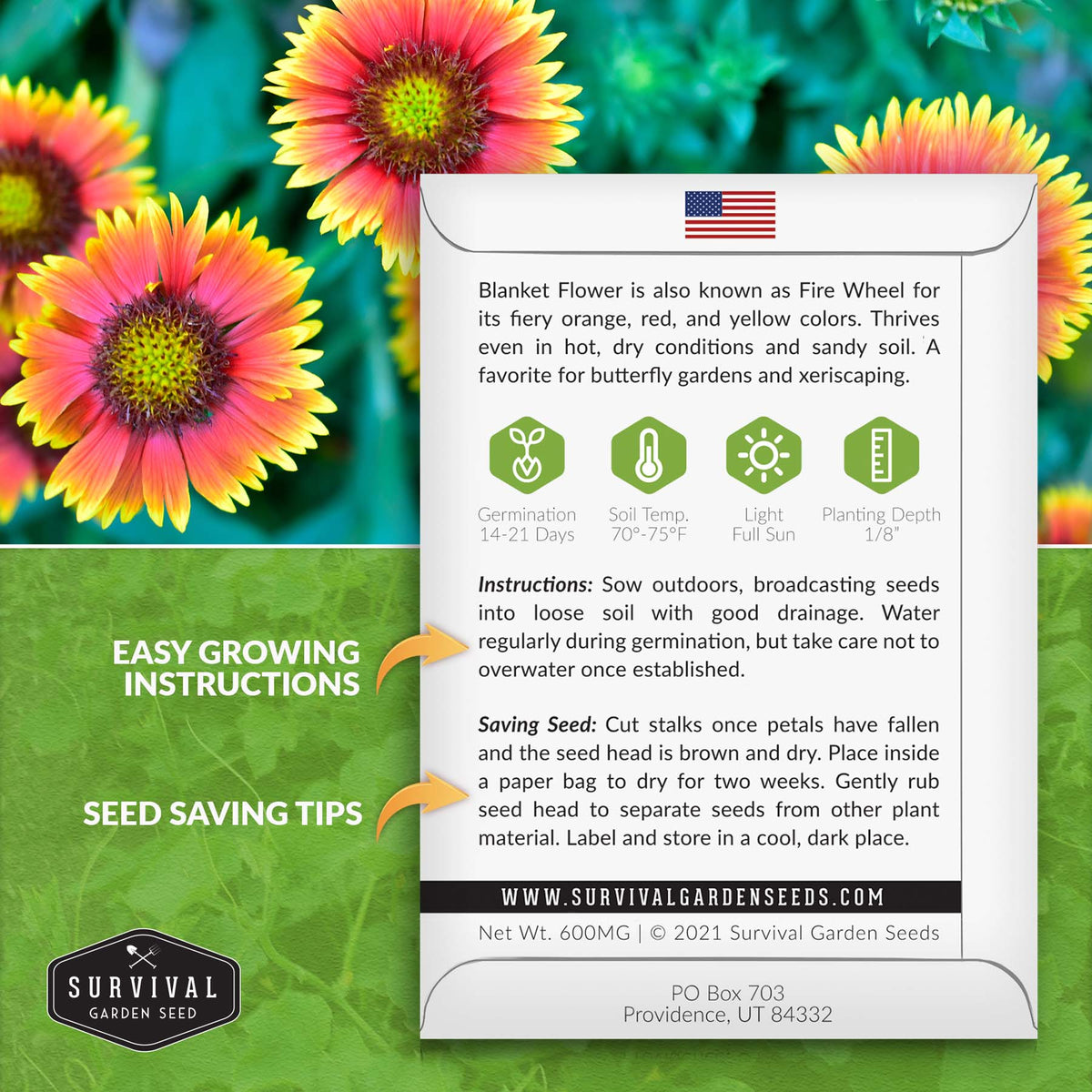 Blanket Flower seed planting instructions