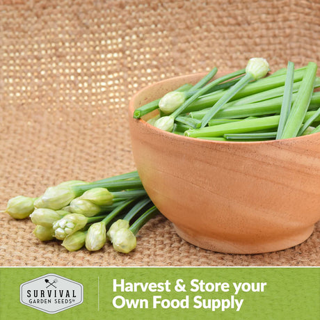 Harvest and store your own food supply