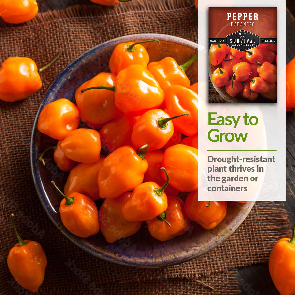 Habanero peppers are easy to grow and drought resistant