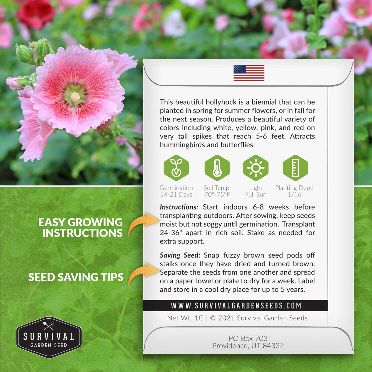 Single Mixed Hollyhock seed planting instructions