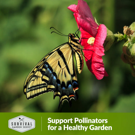 Support pollinators for a healthy garden