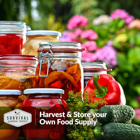 Harvest and store your own food supply