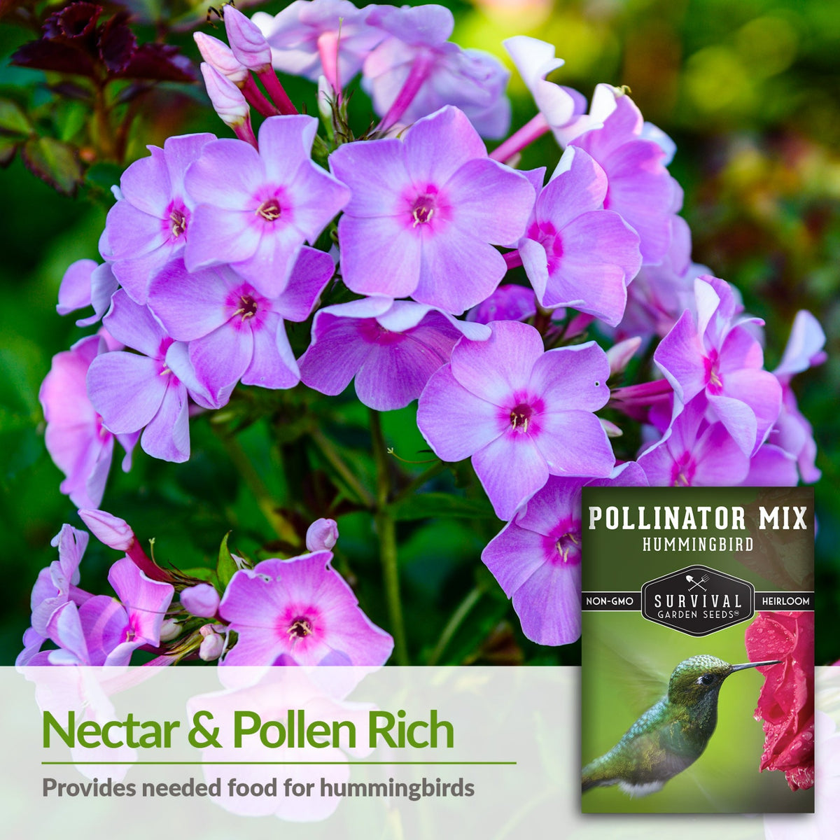 flower seed mix that is rich in nectar and pollen
