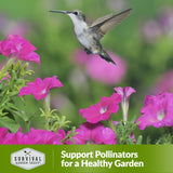 Support pollinators for a healthy garden