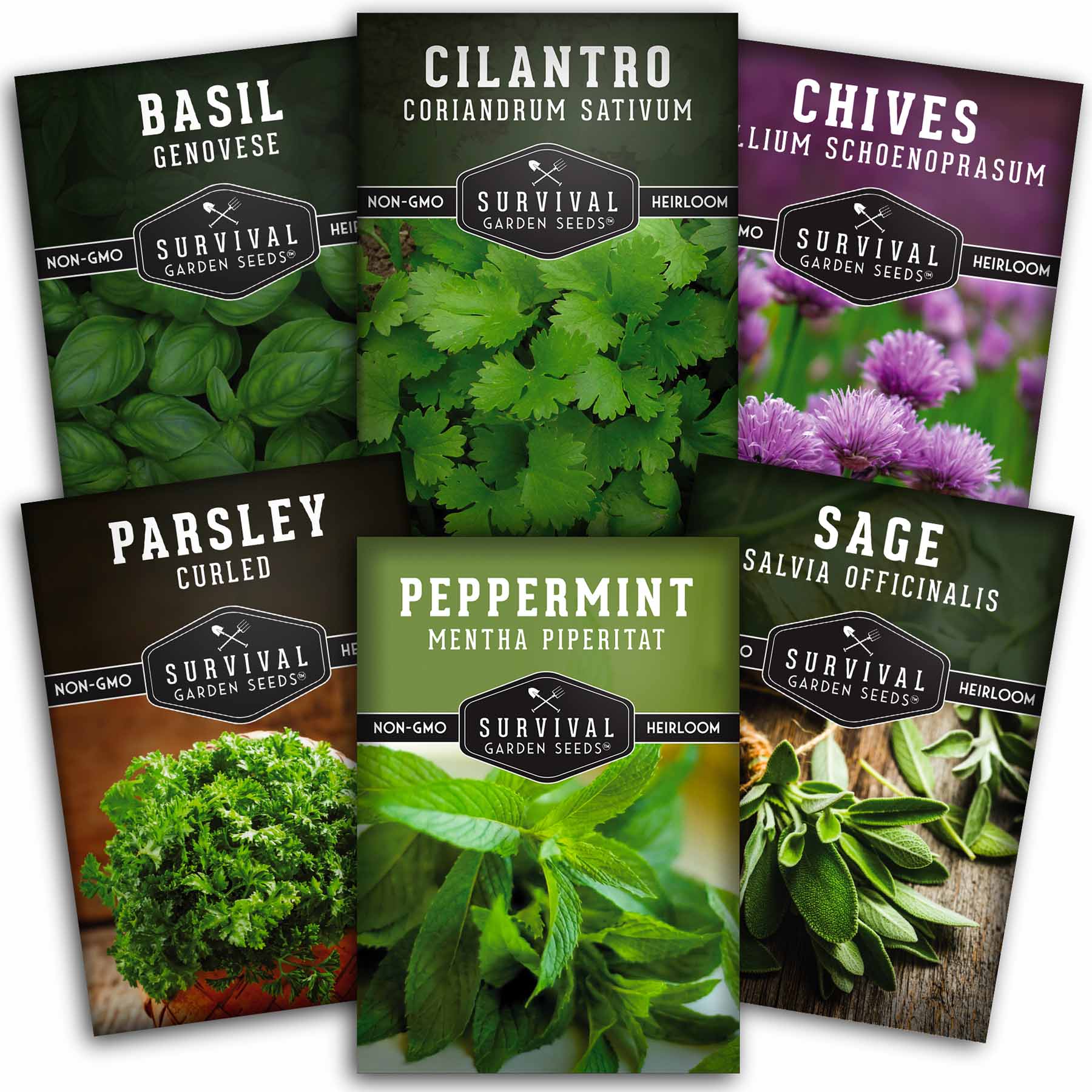 Hydroponic Herb Seed Collection - 6 packets of herb seeds
