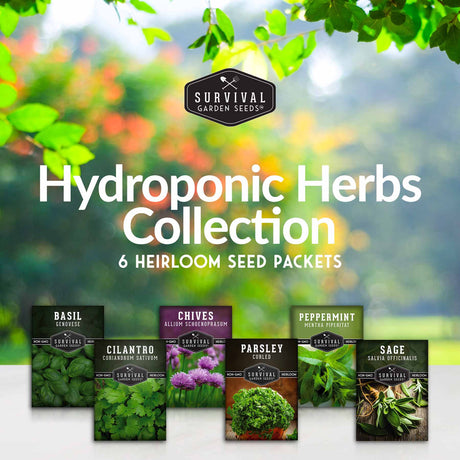 Hydroponic Herb Seed Collection - 6 heirloom seed packets
