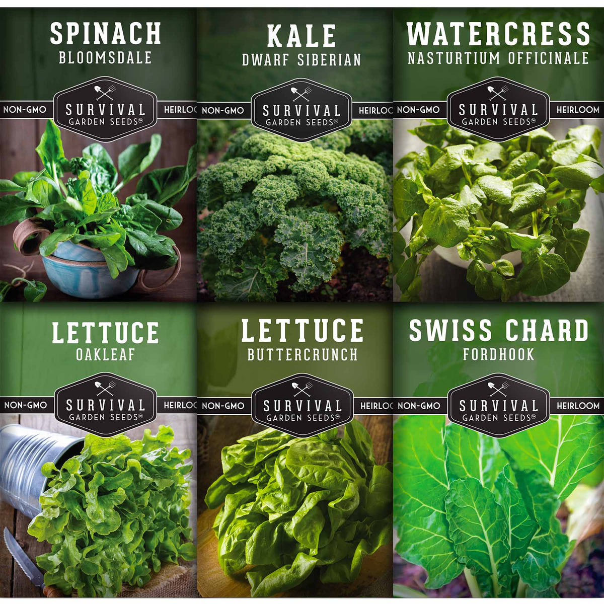 9+ Seeds For Hydroponic Garden Hydroponic Vegetable Seed Collection – SurvivalGardenSeeds