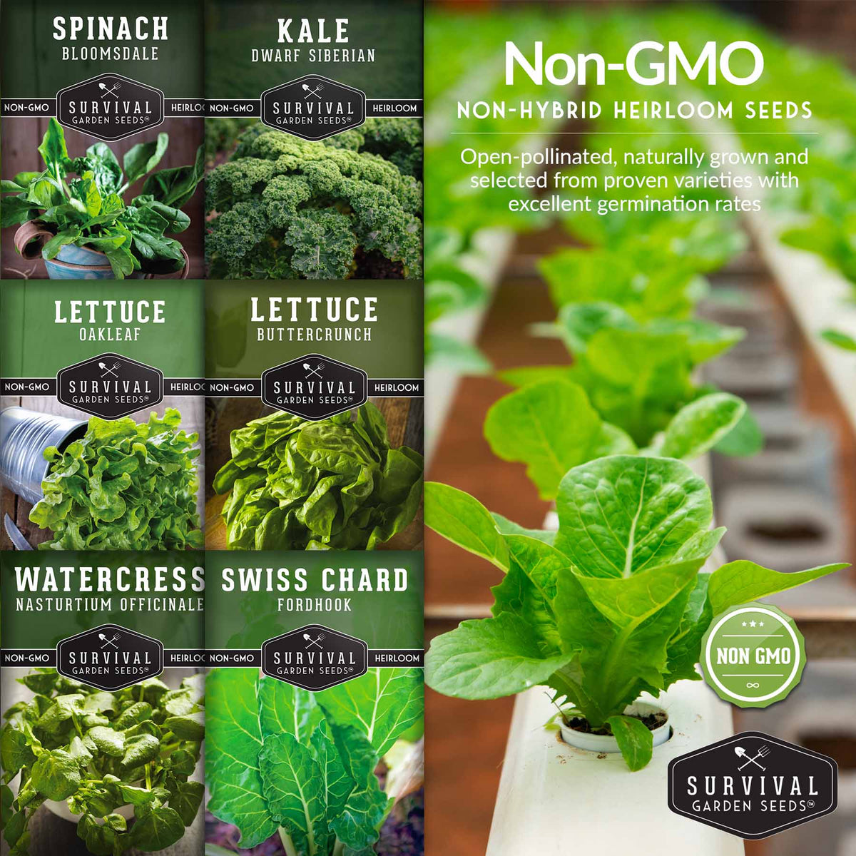 16+ Hydroponic Herb Seeds Hydroponic Vegetable Seed Collection – SurvivalGardenSeeds