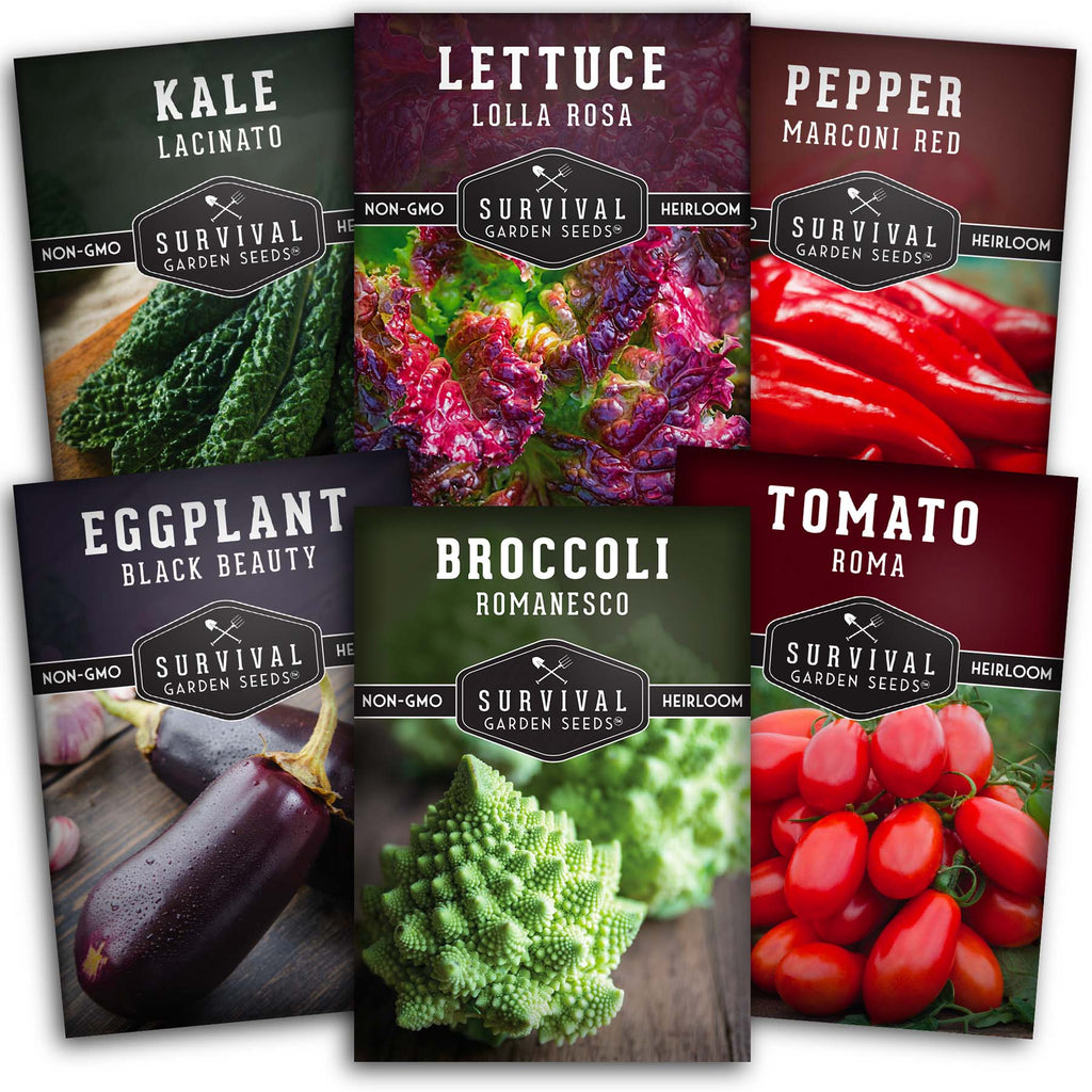 Italian Collection - Romanesco Broccoli, Black Beauty Eggplant, Lacinato Kale, Lolla Rossa Lettuce, Marconi Red Pepper, Roma Tomato