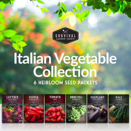 6 Italian Vegetable Seed Packets