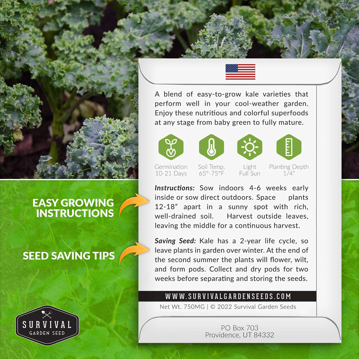 Garden Blend Kale Seed Planting Instruction packet