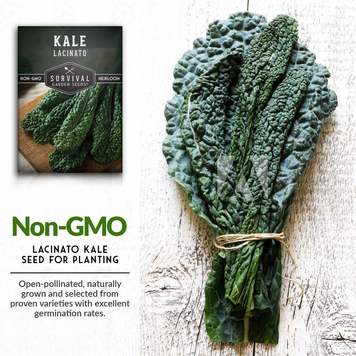 Open-pollinated non-GMO heirloom kale seeds