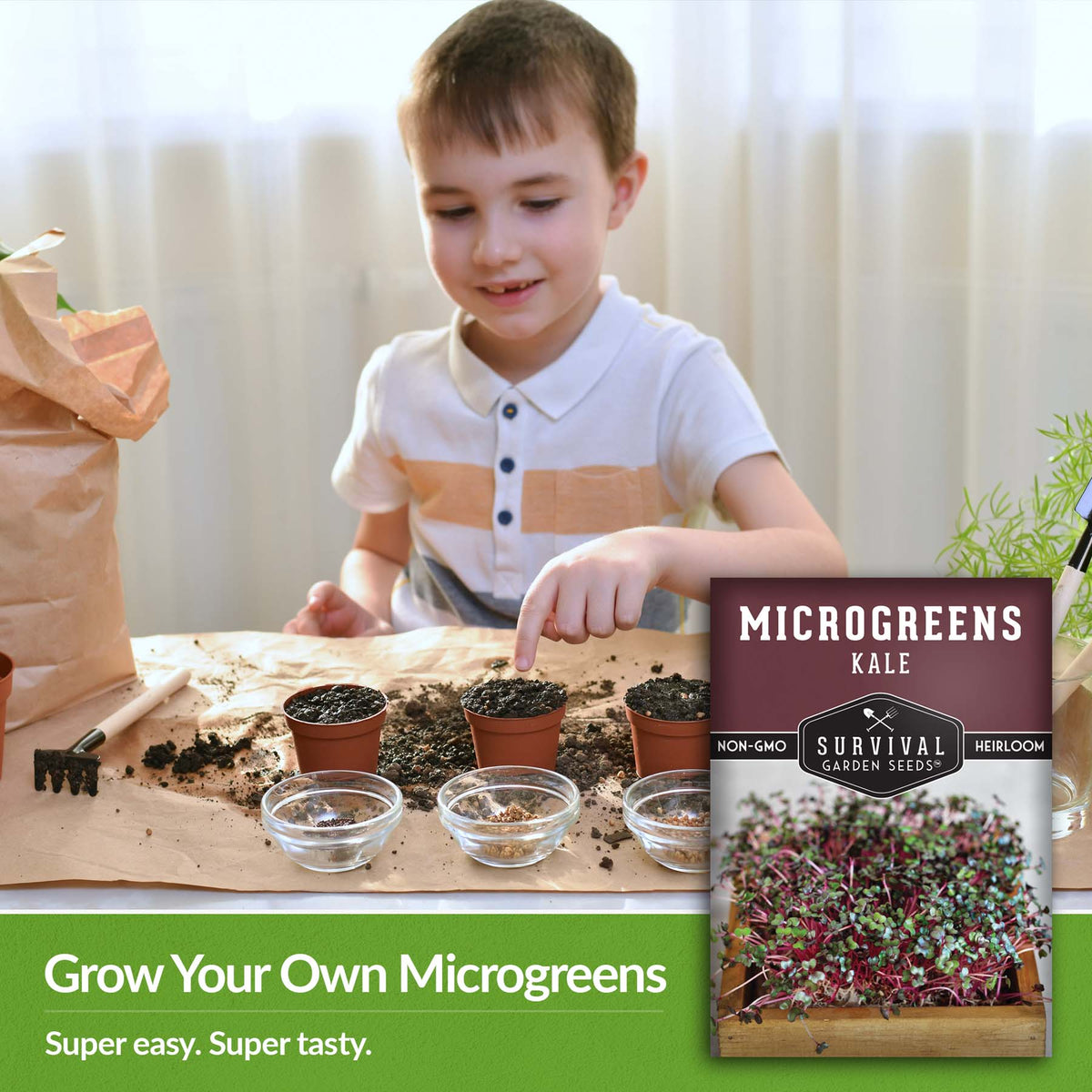 Grown your own microgreens