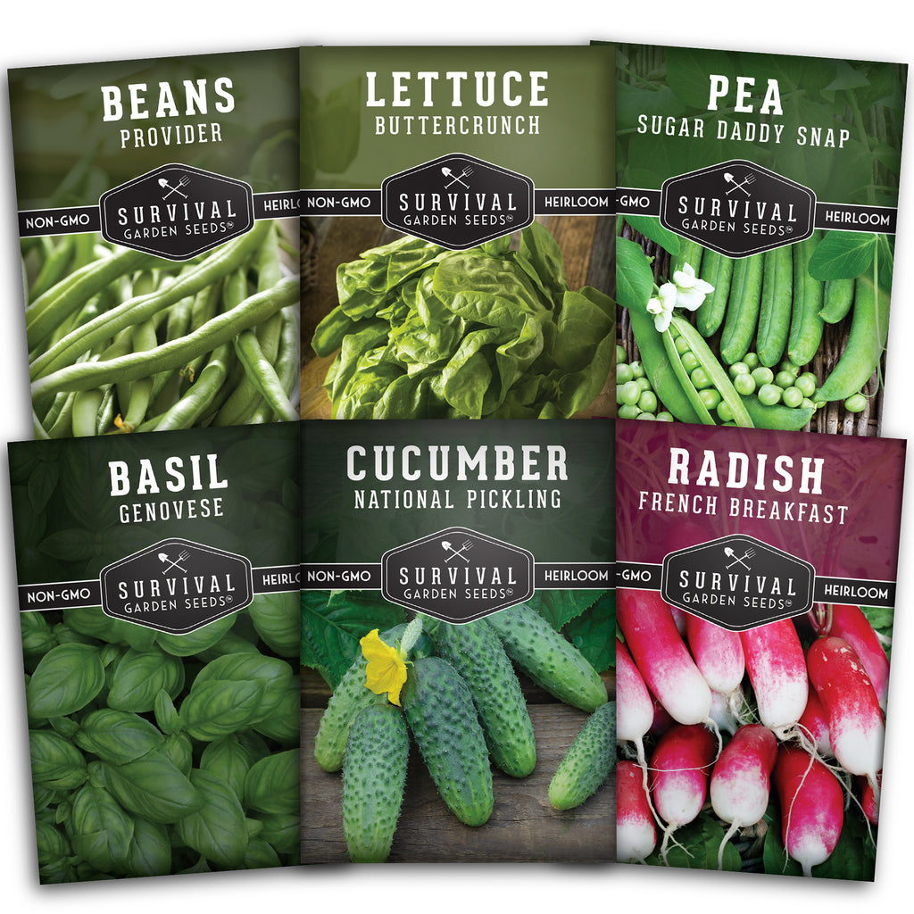 Kids' Easy Garden Collection - Cucumber, Radish, Beans, Peas, Lettuce, Basil