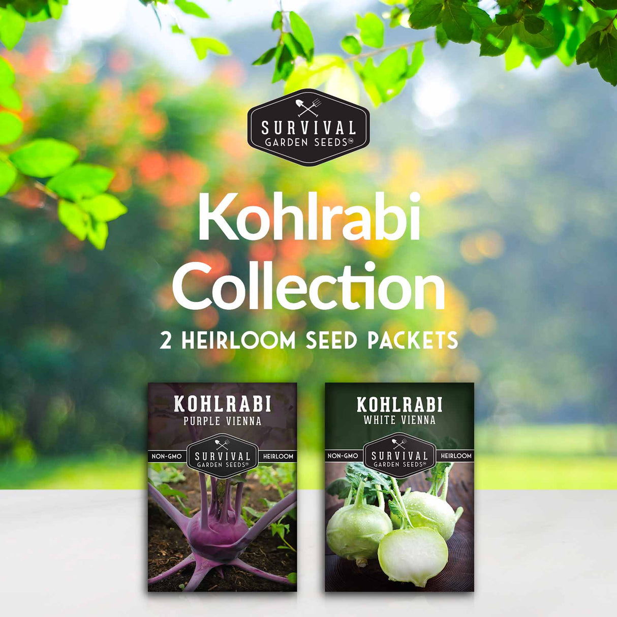 Kohlrabi seed collection - 2 heirloom seed packets