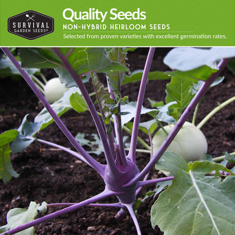 Quality non-hybrid heirloom vegetable garden seeds