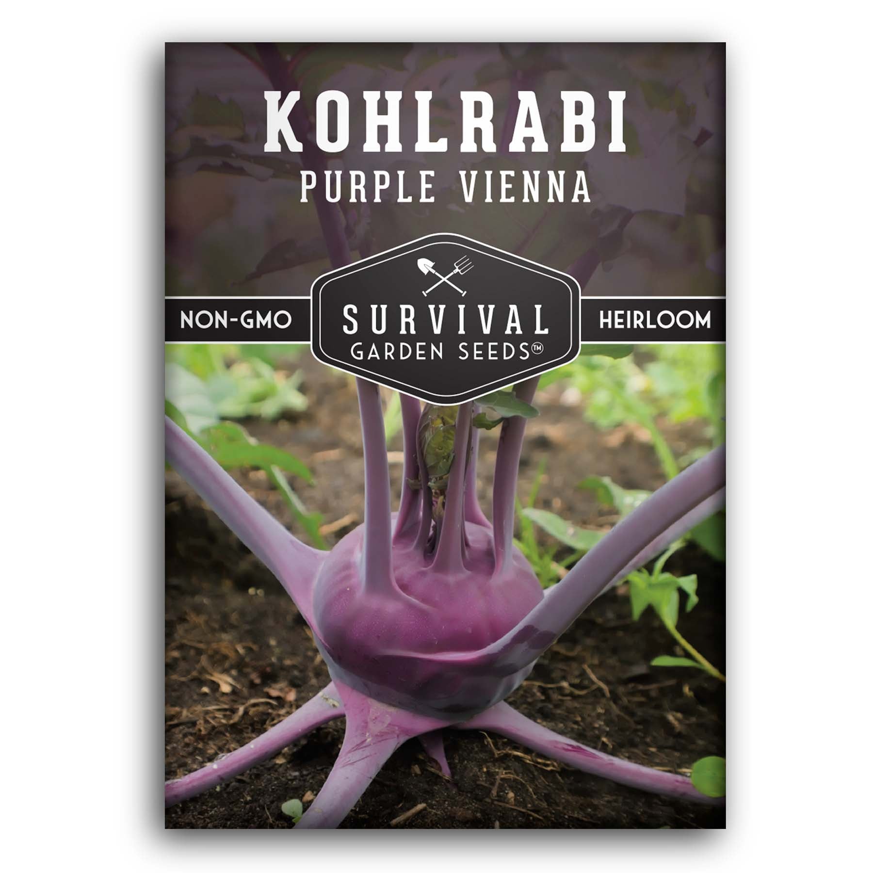 Purple Vienna Kohlrabi Seeds – Heirloom Cole Crop