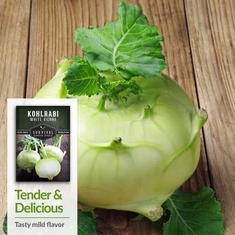 White Vienna Kohlrabi has a tasty mild flavor