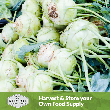 Harvest and store your own food supply