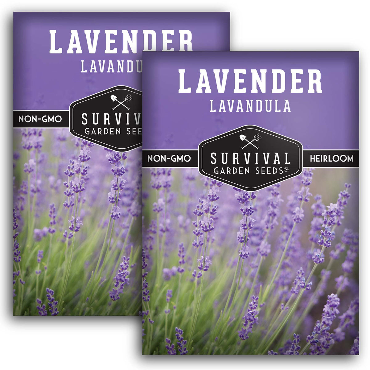 Lavender seed packets quantity 2