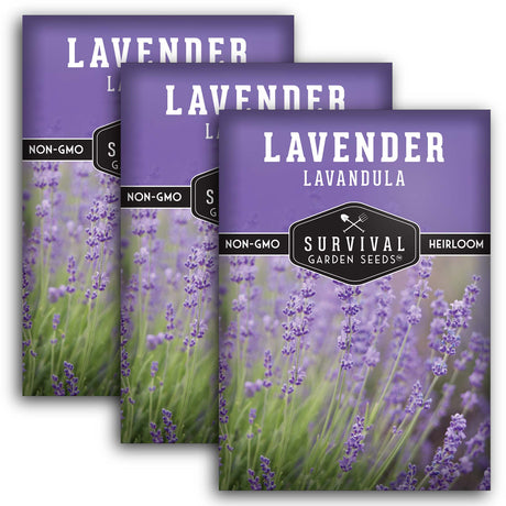 Lavender seed packets quantity 3